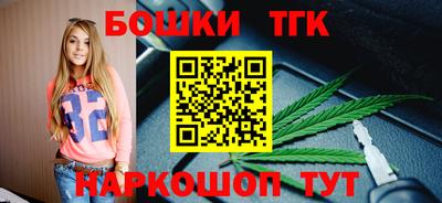 тгк Будённовск