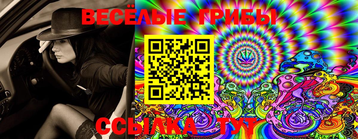 Узловая  Псилоцибиновые грибы GOLDEN TEACHER  Вход с VPN 